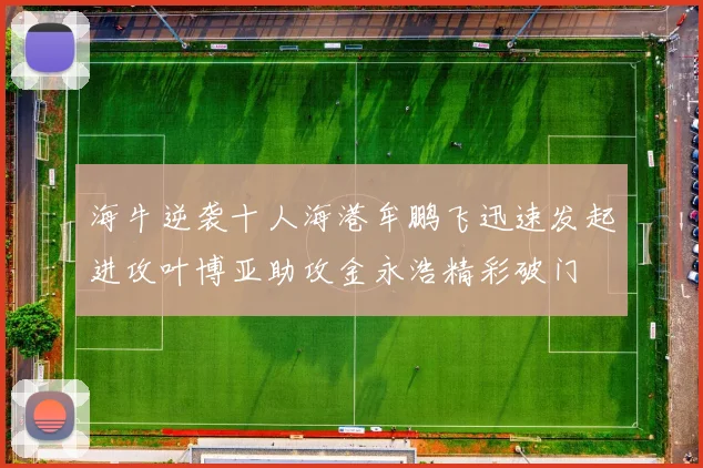 海牛逆袭十人海港牟鹏飞迅速发起进攻叶博亚助攻金永浩精彩破门