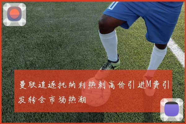 曼联追逐托纳利热刺高价引进M费引发转会市场热潮